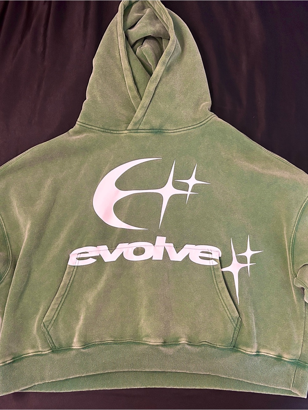 Pacsun Evolve Cropped Hoodie